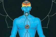 The Lotus Of Kundalini Shakti