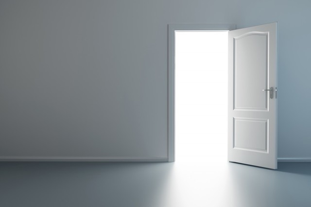 Door 1 Door 1