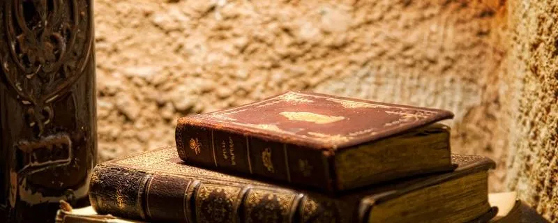 What is Shukra Niti?