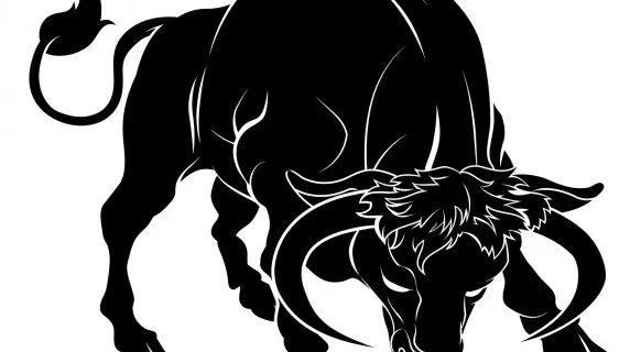 Taurus Taurus