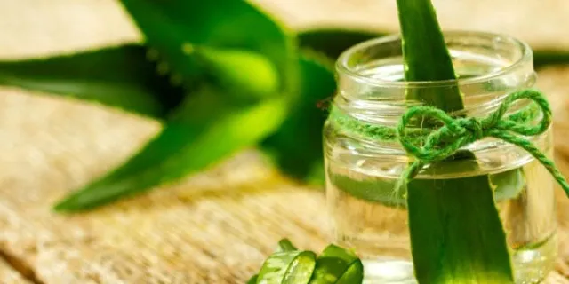 Home remedies for hair growth (Aloe Vera) Home remedies for hair growth (Aloe Vera)