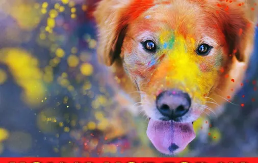 Holi Quotes Holi Quotes
