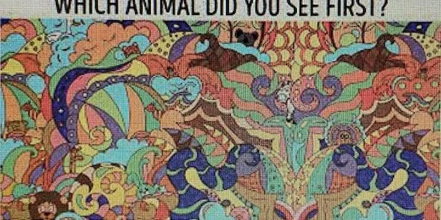 What You See is Who You Are What You See is Who You Are