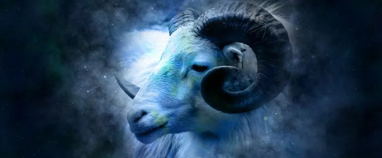 For Aries For Aries