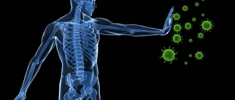 Builds A Healthy Immune System Builds A Healthy Immune System
