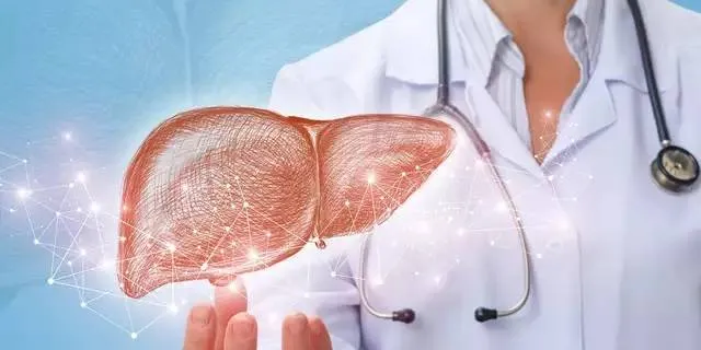 What a Healthy Liver Does What a Healthy Liver Does