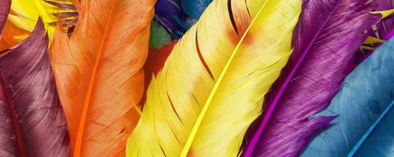Lucky Colors for 2022 Lucky Colors for 2022