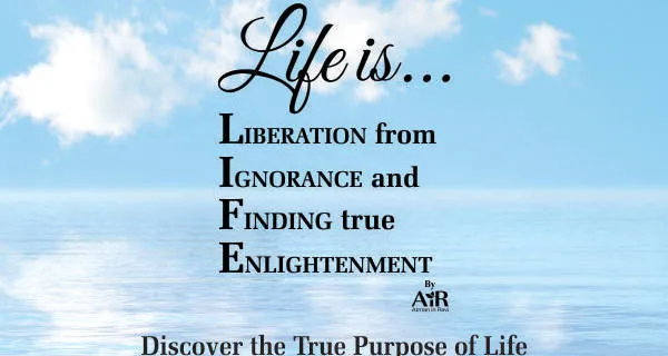 Life is...